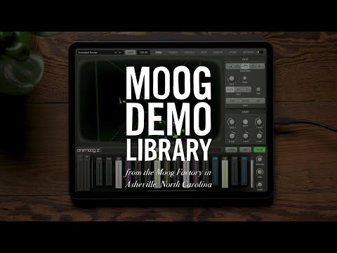 Animoog Z | Introduction & New Features