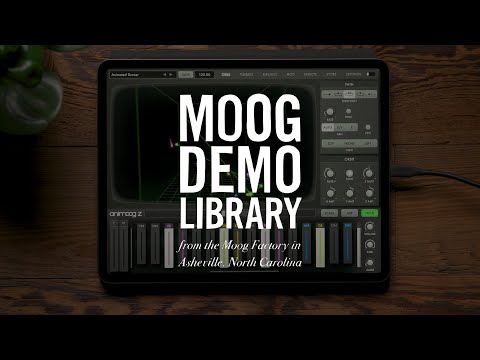 Animoog Z | Einführung & neue Funktionen